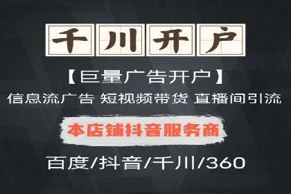 SEM服务公司成功案例解读